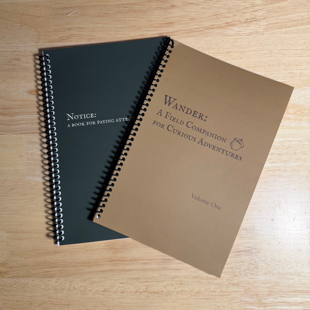 Wander: A Field Companion for Curious Adventures