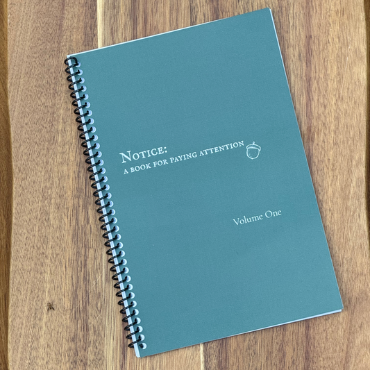 Notice: A Book for Paying Attention