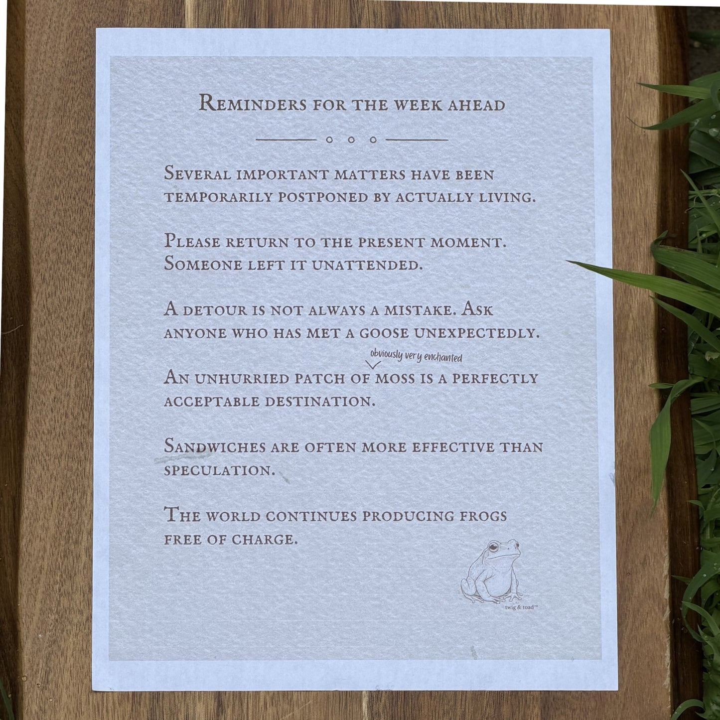 Reminders for the Week Ahead, Frogs — June 14, 2026 — Printable Download