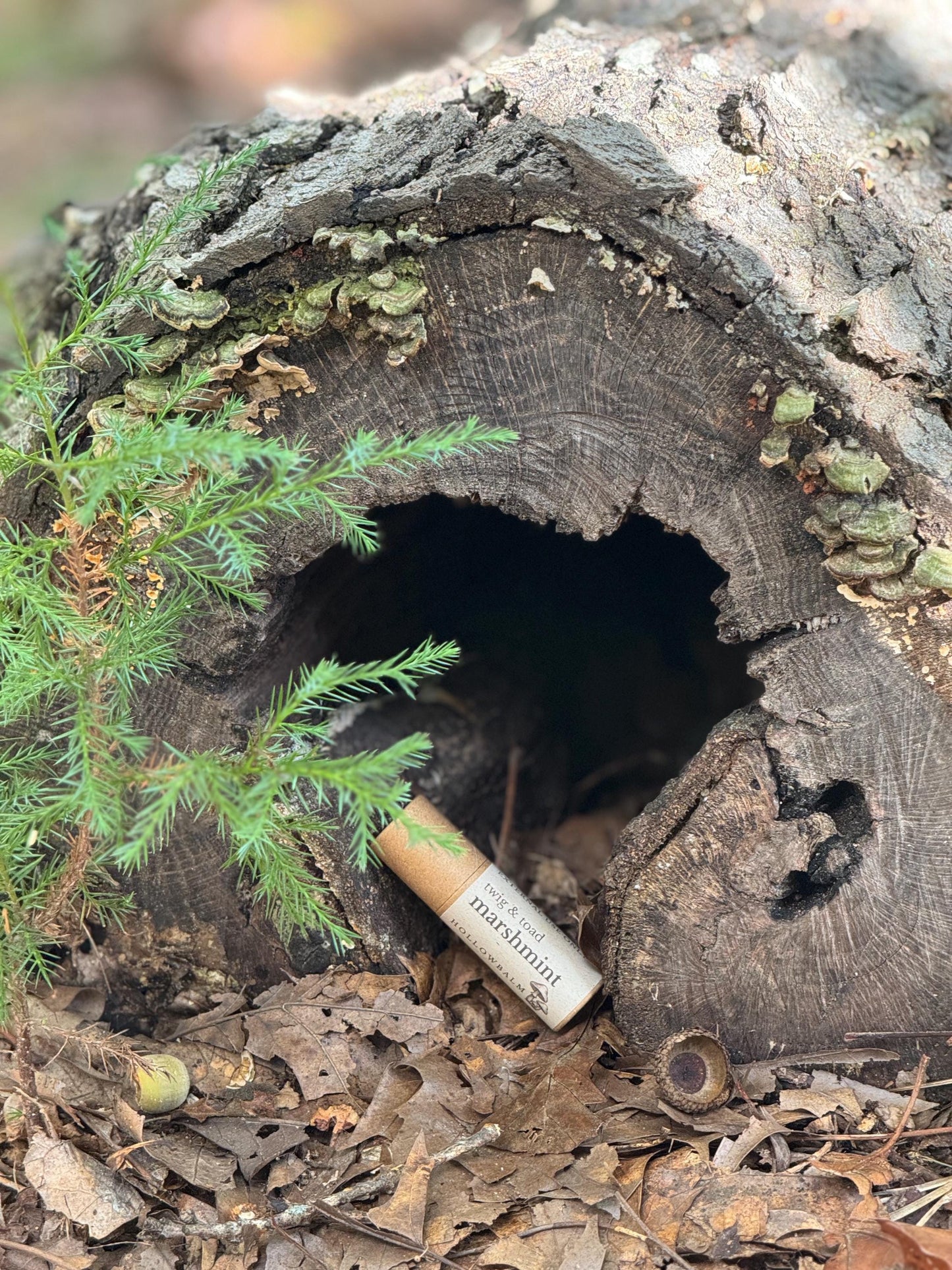 Marshmint Lip Balm