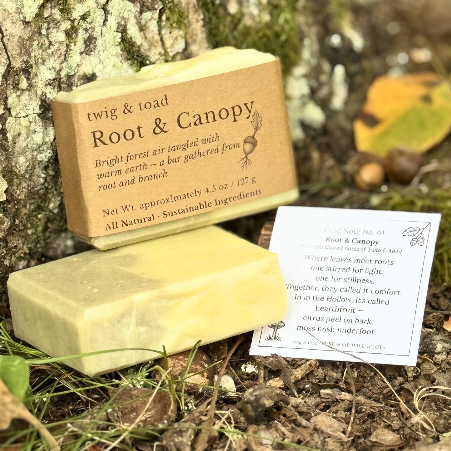 Root & Canopy Soap Bar