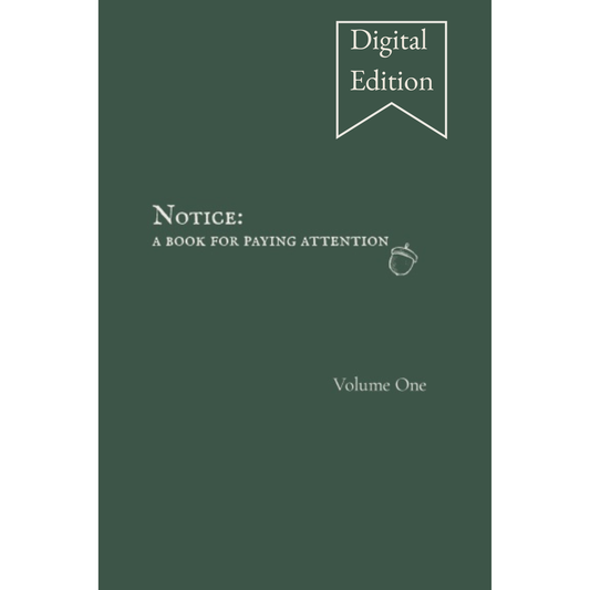 Notice: A Book for Paying Attention — Digital Edition (PDF)