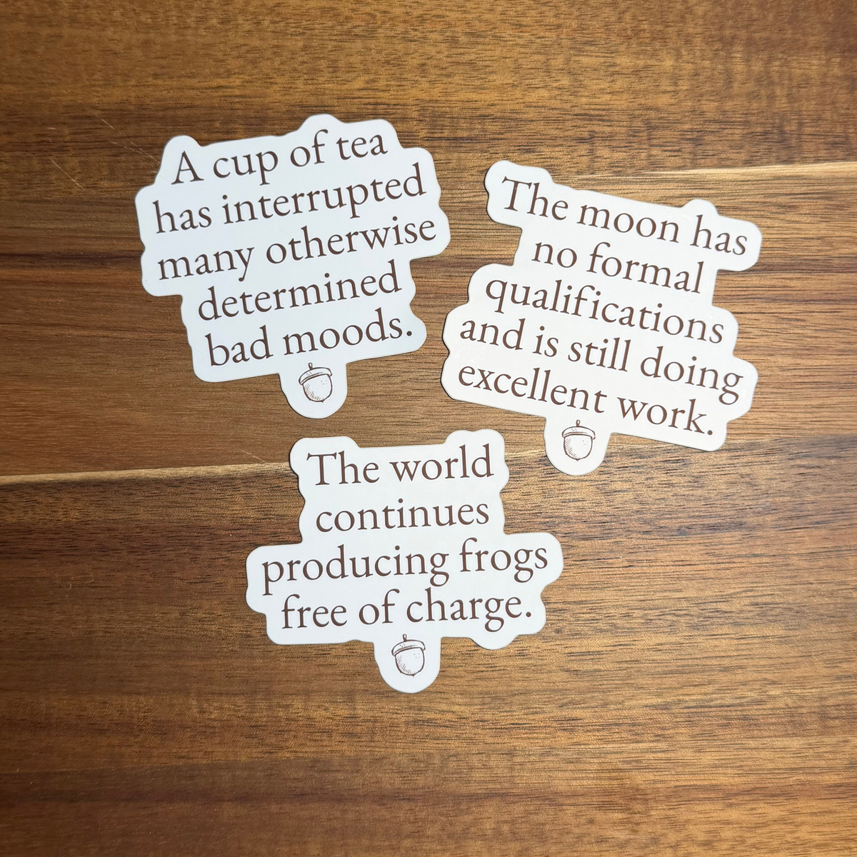 Twig & Toad Quote Sticker Set No. 4 — Useful Observations — Set of 3