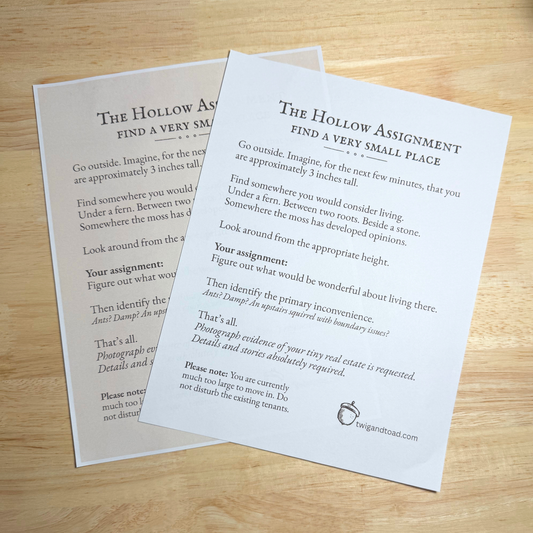 The Hollow Assignment: Find a Very Small Place — September 2026 — Printable PDF