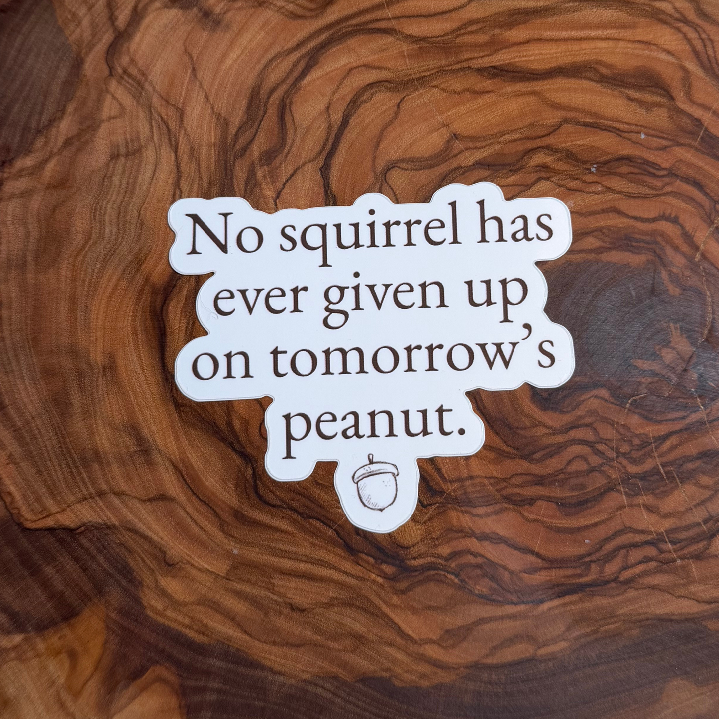 Twig & Toad Quote Sticker Set — Set of 3