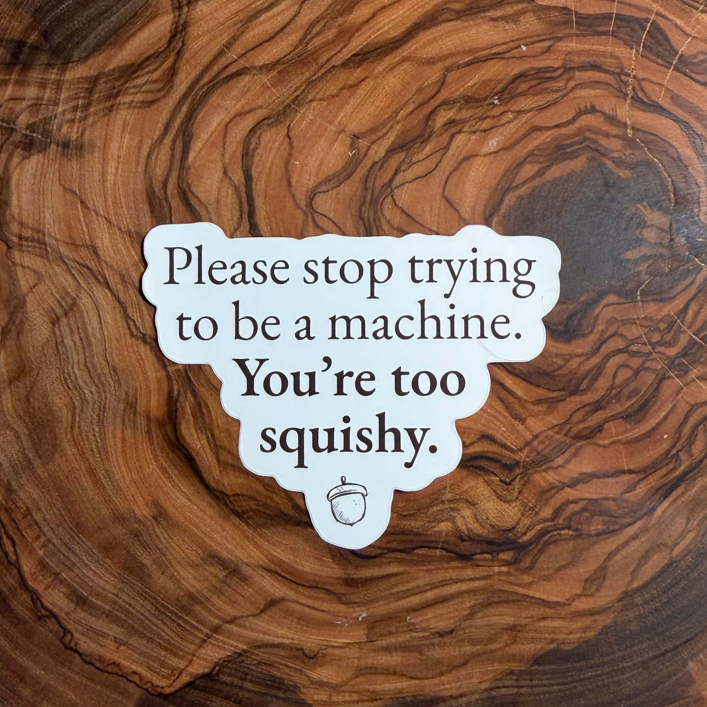 Twig & Toad Quote Sticker Set — Set of 3