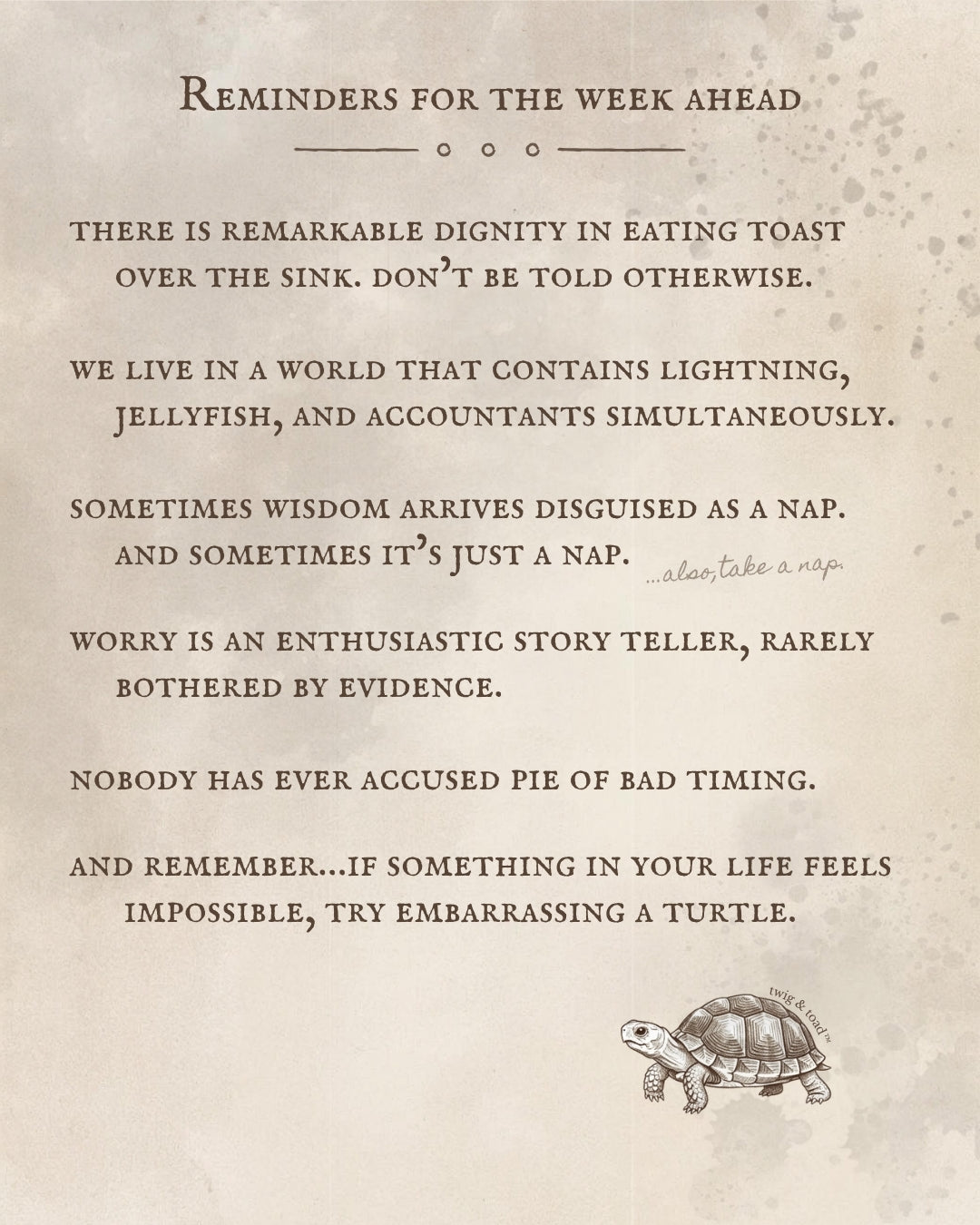 Reminders for the Week Ahead, Embarrassed Turtles — August 2, 2026 — Printable Download