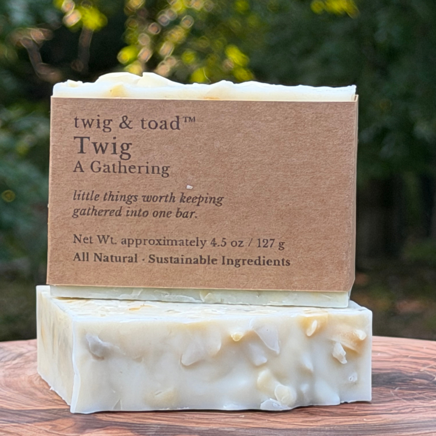 Toad & Twig Soap Set | Keeper's Reserve | Limited Edition